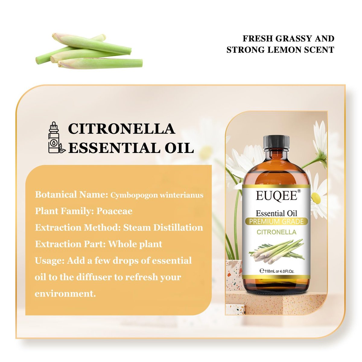 EUQEE Citronella-Öl, 118 ml Geschenkbox mit Pipette – Reines Citronella-Öl für Kerzen, Diffuser und Luftbefeuchter