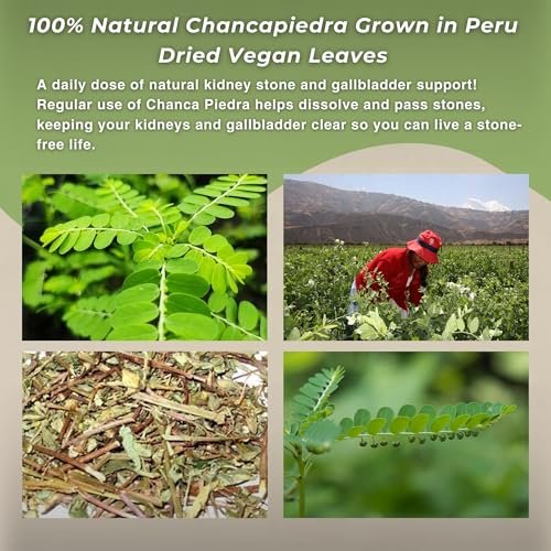 Hanan Chanca Piedra Lose Blätter 40g - Steinbrecher Kräutertee, 100% natürliche Chancapiedra aus Peru, vegan