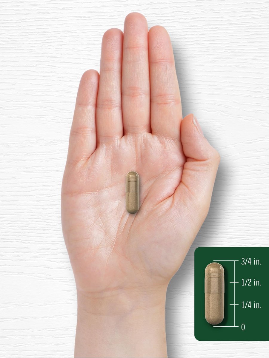 Carlyle Mariendistel | 300 Kapseln | Non-GMO, Glutenfrei, Extrakt