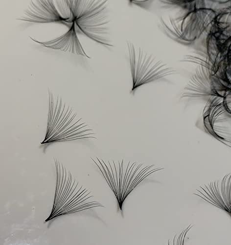 20D LASH BY HOLLY PREMADE FAN LASHES - Handgefertigte Wimpernfächer für Wimpernverlängerung, D-Curl, 0,05 mm Stärke, Längen 10-17 mm (D11mm20D)