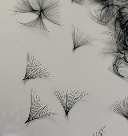 20D LASH BY HOLLY PREMADE FAN LASHES - Handgefertigte Wimpernfächer für Wimpernverlängerung, D-Curl, 0,05 mm Stärke, Längen 10-17 mm (D11mm20D)