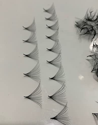 20D LASH BY HOLLY PREMADE FAN LASHES - Handgefertigte Wimpernfächer für Wimpernverlängerung, D-Curl, 0,05 mm Stärke, Längen 10-17 mm (D11mm20D)