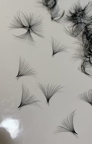 20D LASH BY HOLLY PREMADE FAN LASHES - Handgefertigte Wimpernfächer für Wimpernverlängerung, D-Curl, 0,05 mm Stärke, Längen 10-17 mm (D11mm20D)