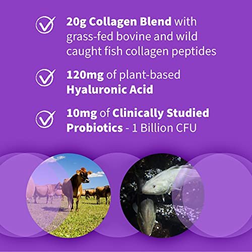 Garden of Life Meereskollagen & Grasgefüttertes Rinderkollagen Peptide Pulver (Typ I, III) mit Probiotika, BCAAs & Hyaluronsäure für strahlendes Haar, Haut & Nägel – Ungesüßt, 20g pro Portion, 12 Portionen