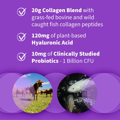 Garden of Life Meereskollagen & Grasgefüttertes Rinderkollagen Peptide Pulver (Typ I, III) mit Probiotika, BCAAs & Hyaluronsäure für strahlendes Haar, Haut & Nägel – Ungesüßt, 20g pro Portion, 12 Portionen