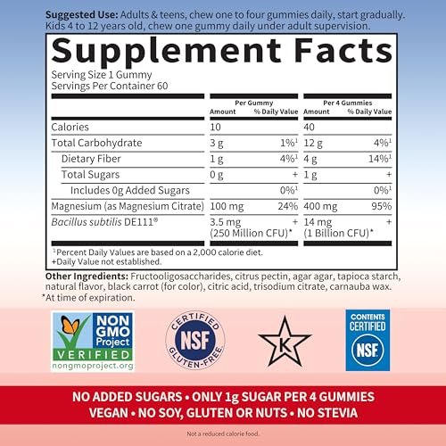 Garden of Life Magnesium Citrate Gummis mit Präbiotika & Probiotika – Vegan, glutenfrei, koscher, ohne Zuckerzusatz, Himbeergeschmack, 60 Stück