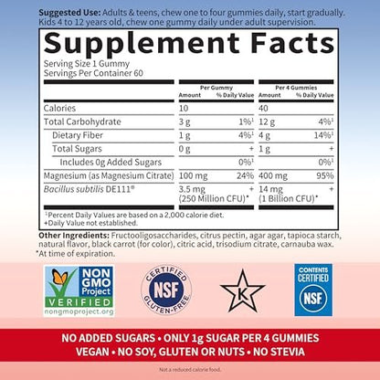 Garden of Life Magnesium Citrate Gummis mit Präbiotika & Probiotika – Vegan, glutenfrei, koscher, ohne Zuckerzusatz, Himbeergeschmack, 60 Stück