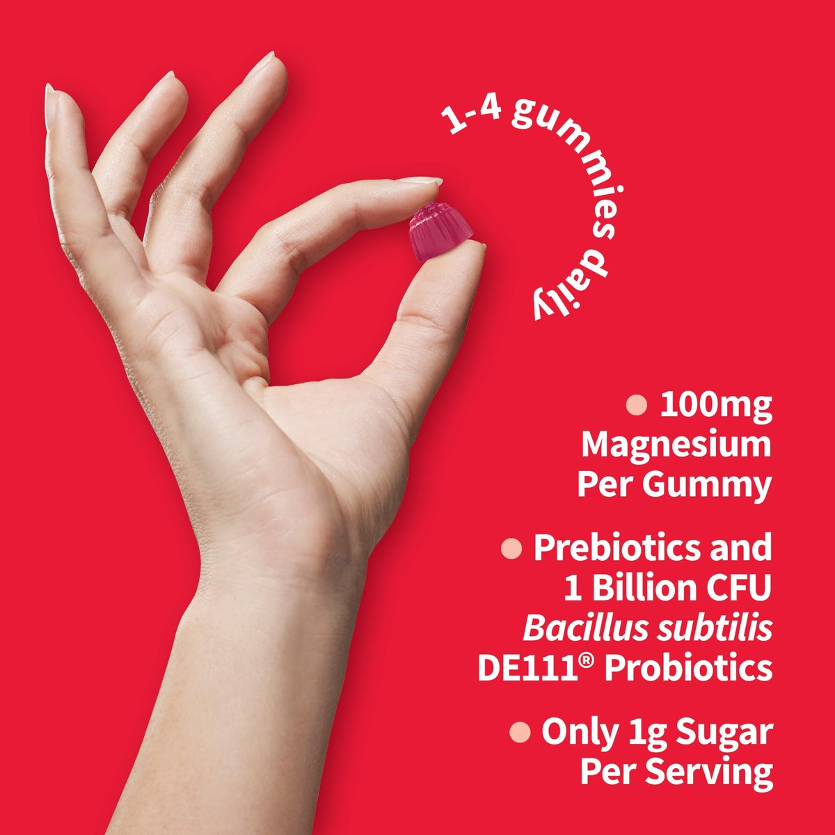 Garden of Life Magnesium Citrate Gummis mit Präbiotika & Probiotika – Vegan, glutenfrei, koscher, ohne Zuckerzusatz, Himbeergeschmack, 60 Stück