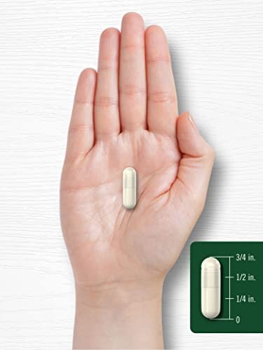 Carlyle Pueraria Mirifica Kapseln | 120 Stück | Wurzelextrakt | Nicht-GVO & Glutenfrei Nahrungsergänzungsmittel