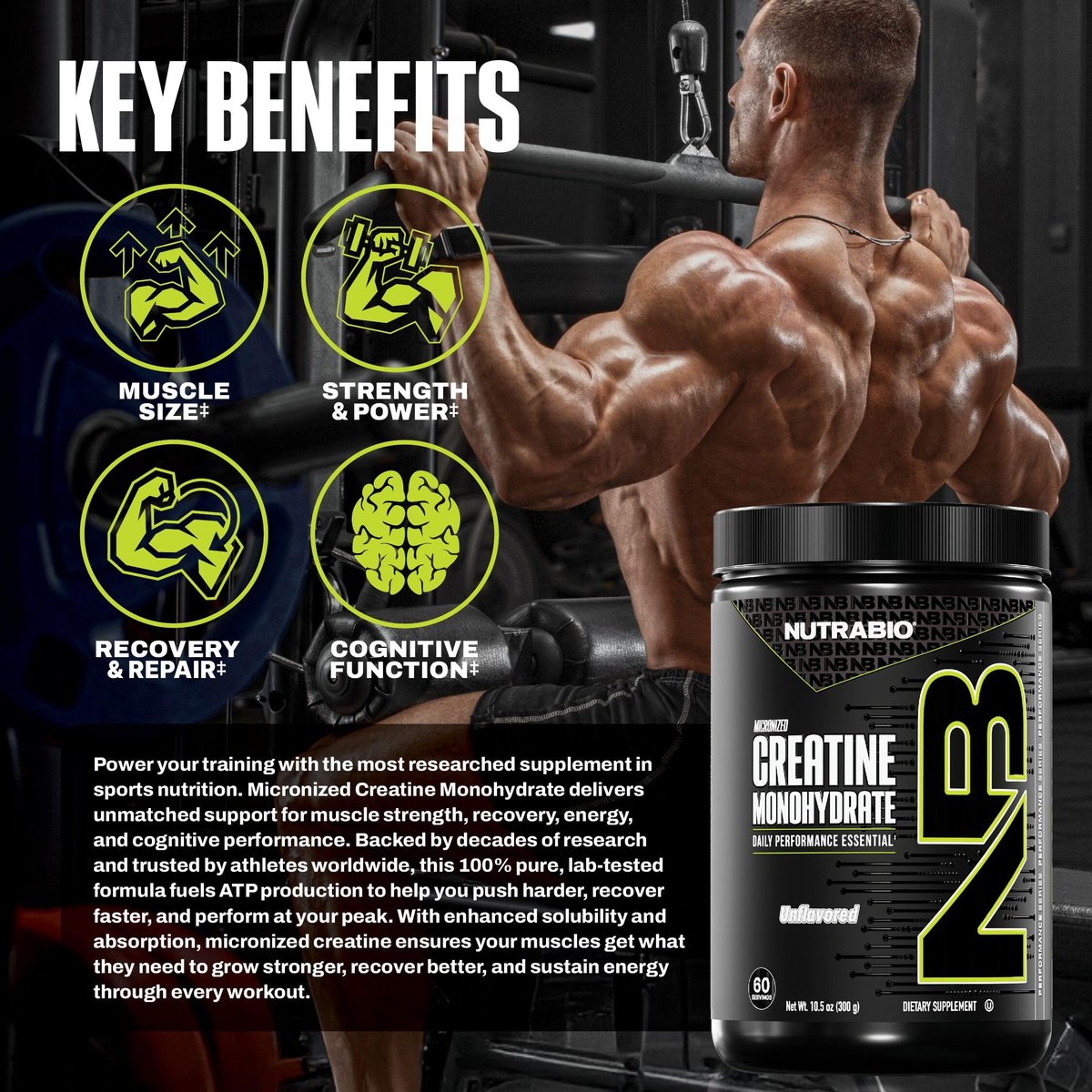 NutraBio Pure Micronized Creatine Monohydrat-Pulver, ungesüßt, 300 g – unterstützt Muskelenergie, Erholung und Kraft – HPLC-getestetes Creatin-Pulver für Männer und Frauen