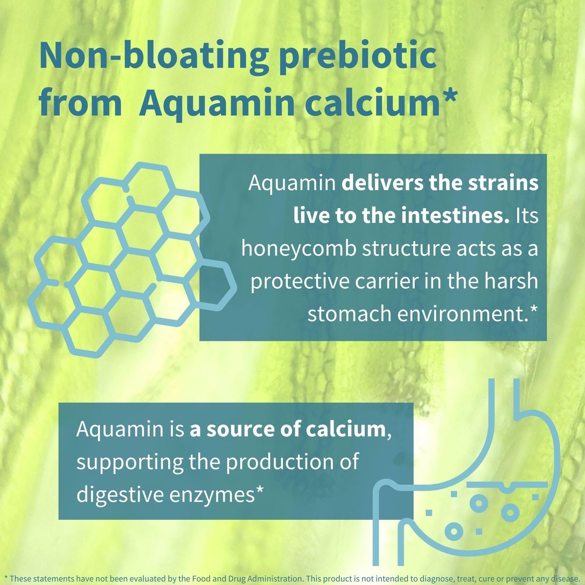 Igennus Probiotika & Präbiotikum 2 in 1, Lactobacillus Acidophilus & Bifidobacterium, Darmgesundheit, lebende Kulturen + Lab4, garantierte 25 Milliarden KBE, für Frauen & Männer, nicht blähend, ohne Gentechnik, 30 Kapseln