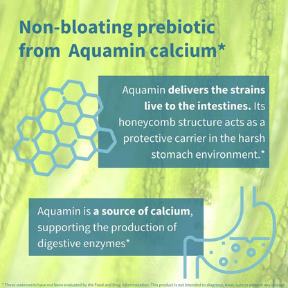 Igennus Probiotika & Präbiotikum 2 in 1, Lactobacillus Acidophilus & Bifidobacterium, Darmgesundheit, lebende Kulturen + Lab4, garantierte 25 Milliarden KBE, für Frauen & Männer, nicht blähend, ohne Gentechnik, 30 Kapseln