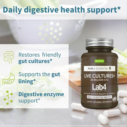 Igennus Probiotika & Präbiotikum 2 in 1, Lactobacillus Acidophilus & Bifidobacterium, Darmgesundheit, lebende Kulturen + Lab4, garantierte 25 Milliarden KBE, für Frauen & Männer, nicht blähend, ohne Gentechnik, 30 Kapseln