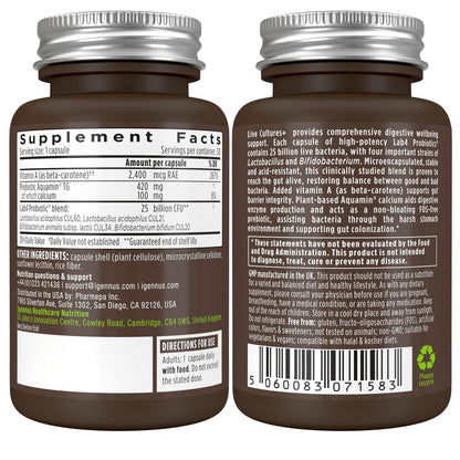 Igennus Probiotika & Präbiotikum 2 in 1, Lactobacillus Acidophilus & Bifidobacterium, Darmgesundheit, lebende Kulturen + Lab4, garantierte 25 Milliarden KBE, für Frauen & Männer, nicht blähend, ohne Gentechnik, 30 Kapseln