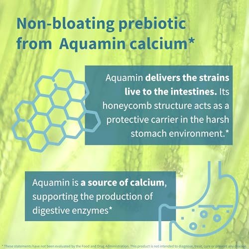 Igennus Probiotika & Präbiotikum 2 in 1, Lactobacillus Acidophilus & Bifidobacterium, Darmgesundheit, lebende Kulturen + Lab4, garantierte 25 Milliarden KBE, für Frauen & Männer, nicht blähend, ohne Gentechnik, 30 Kapseln