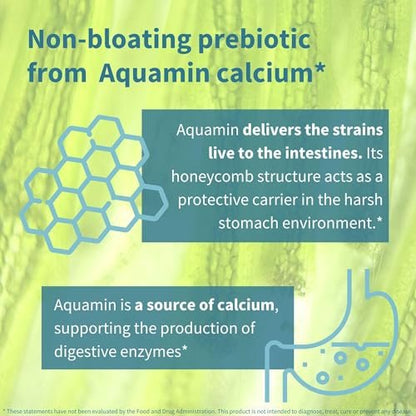 Igennus Probiotika & Präbiotikum 2 in 1, Lactobacillus Acidophilus & Bifidobacterium, Darmgesundheit, lebende Kulturen + Lab4, garantierte 25 Milliarden KBE, für Frauen & Männer, nicht blähend, ohne Gentechnik, 30 Kapseln