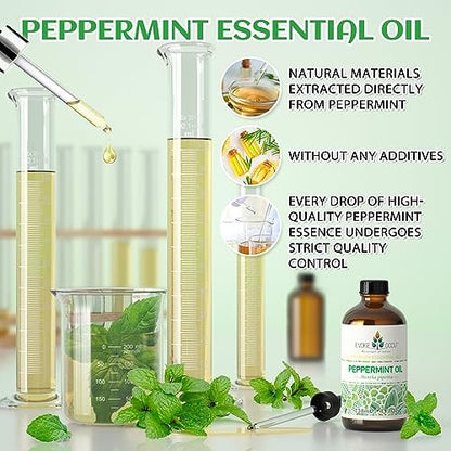 EVOKE OCCU Pfefferminzöl 118 ml – 100% reines und natürliches ätherisches Öl für Aromatherapie, Diffuser, Haare, Haut und Massage