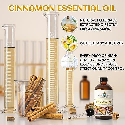 EVOKE OCCU Zimt ätherisches Öl – warmer Herbstduft für Diffuser, Spray, Seife, Kerzen, Haar- und Hautpflege – 118 ml