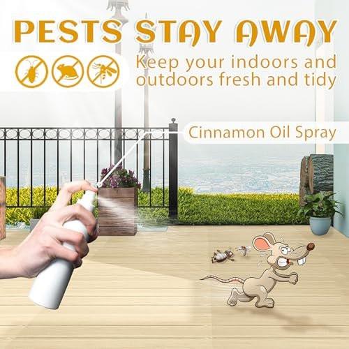EVOKE OCCU Zimt ätherisches Öl – warmer Herbstduft für Diffuser, Spray, Seife, Kerzen, Haar- und Hautpflege – 118 ml