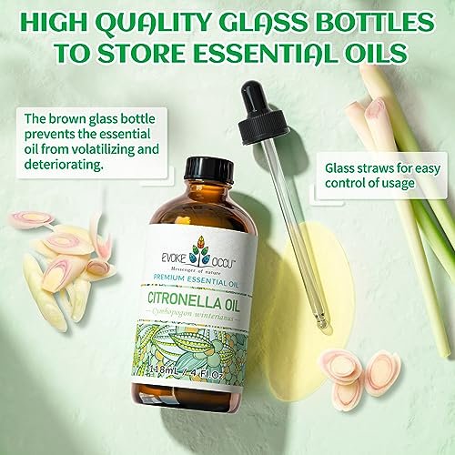 EVOKE OCCU Patchouli Ätherisches Öl für Diffuser, Hautduft, DIY Kerzen- und Seifenherstellung - 118 ml