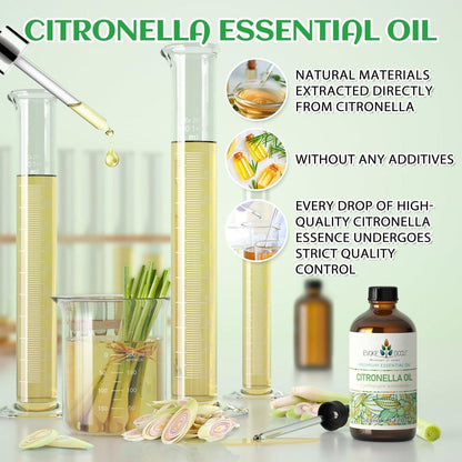 EVOKE OCCU Citronella Öl für Reinigung, Lufterfrischung, zum Sprühen und Diffuser - 118 ml