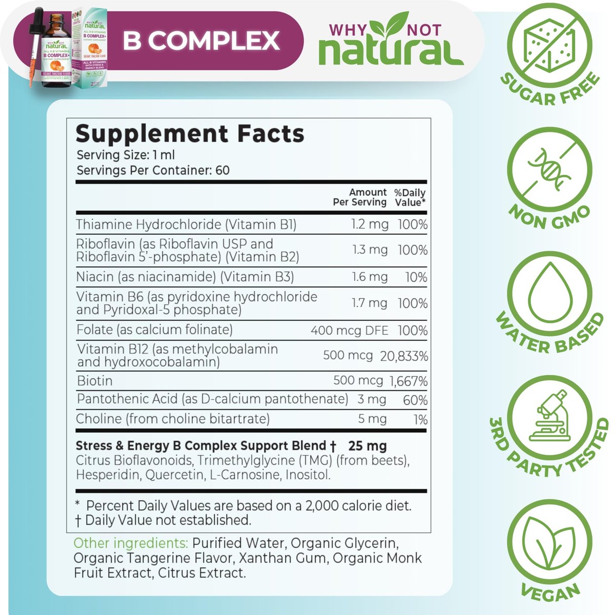 Why Not Natural Vitamin B Komplex flüssige Tropfen - Nahrungsergänzung für Frauen - Vegan und sublinguale Formen von B1, B2, B3, B5, B6, Biotin, Folat und Cholin - Plus Mischung zur Energieunterstützung