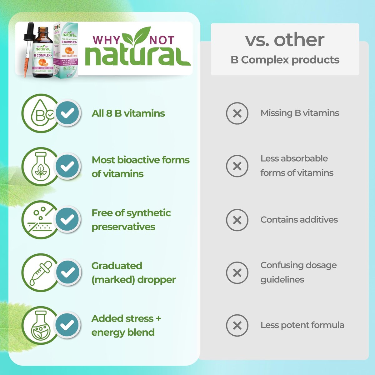 Why Not Natural Vitamin B Komplex flüssige Tropfen - Nahrungsergänzung für Frauen - Vegan und sublinguale Formen von B1, B2, B3, B5, B6, Biotin, Folat und Cholin - Plus Mischung zur Energieunterstützung