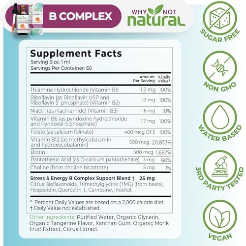 Why Not Natural Vitamin B Komplex flüssige Tropfen - Nahrungsergänzung für Frauen - Vegan und sublinguale Formen von B1, B2, B3, B5, B6, Biotin, Folat und Cholin - Plus Mischung zur Energieunterstützung