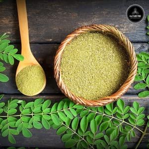 Naturevibe Botanicals Moringa-Grünblattpulver 907 g (32 Unzen), Roh, Multivitamin, Ideal für Getränke und Smoothies