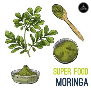 Naturevibe Botanicals Moringa-Grünblattpulver 907 g (32 Unzen), Roh, Multivitamin, Ideal für Getränke und Smoothies