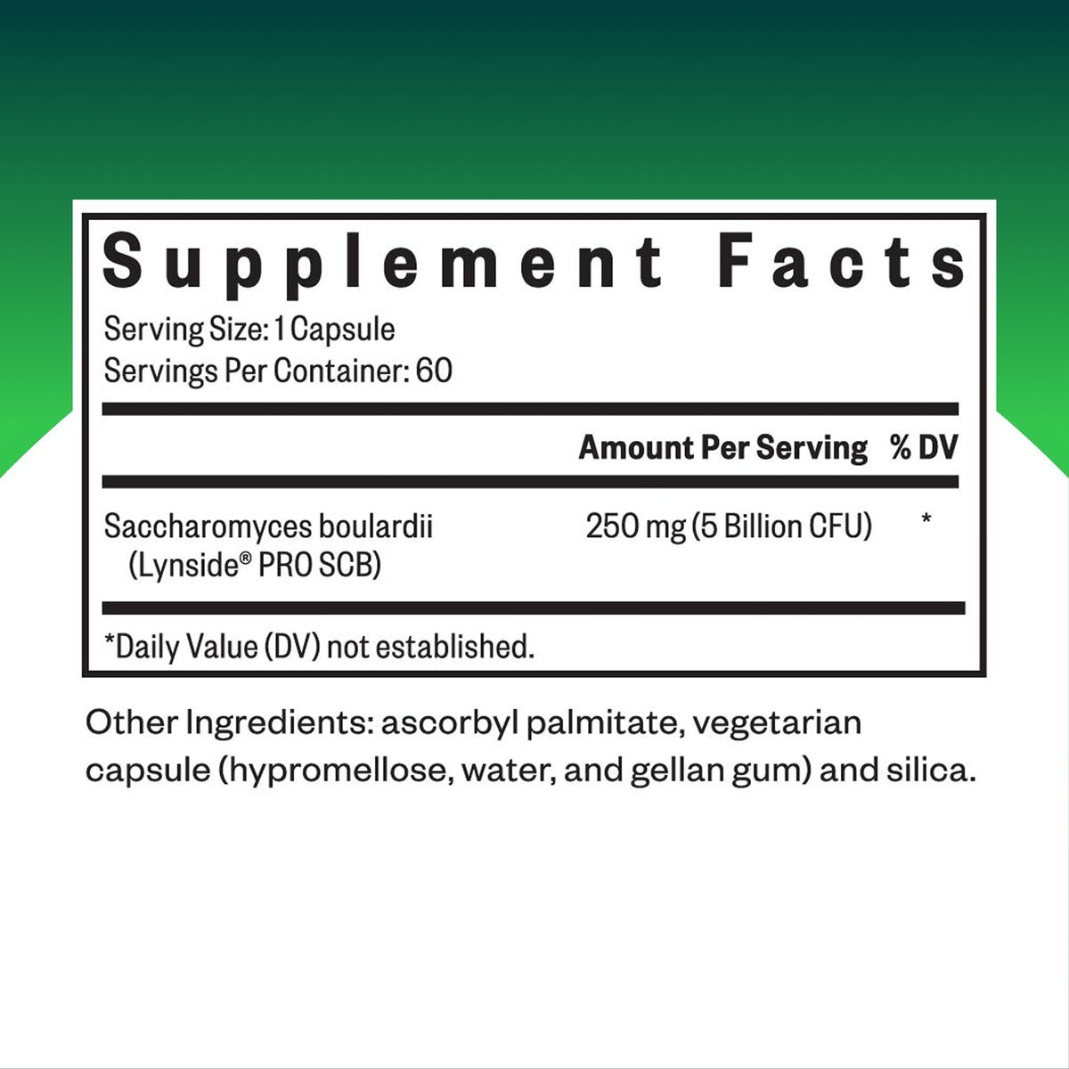 Seeking Health Saccharomyces Boulardii – Sanfte Verdauungsunterstützung für gesunde Darmbewegungen* – Fördert eine gute GI-Trakt-Umgebung & Mikrobiom auf Reisen* – Gluten- & laktosefrei – 60 Kapseln