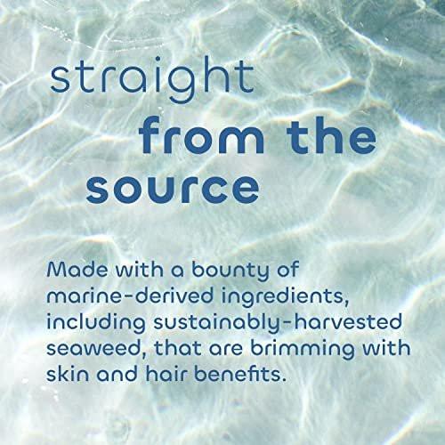 Seaweed Bath Co. Gloss Conditioner, Sea Salt Bergamot Duft, 12 Unzen, nachhaltig geerntete Algen, Awapuhi, Milchsäure, für alle Haartypen
