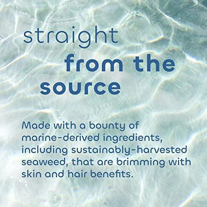 Seaweed Bath Co. Gloss Conditioner, Sea Salt Bergamot Duft, 12 Unzen, nachhaltig geerntete Algen, Awapuhi, Milchsäure, für alle Haartypen