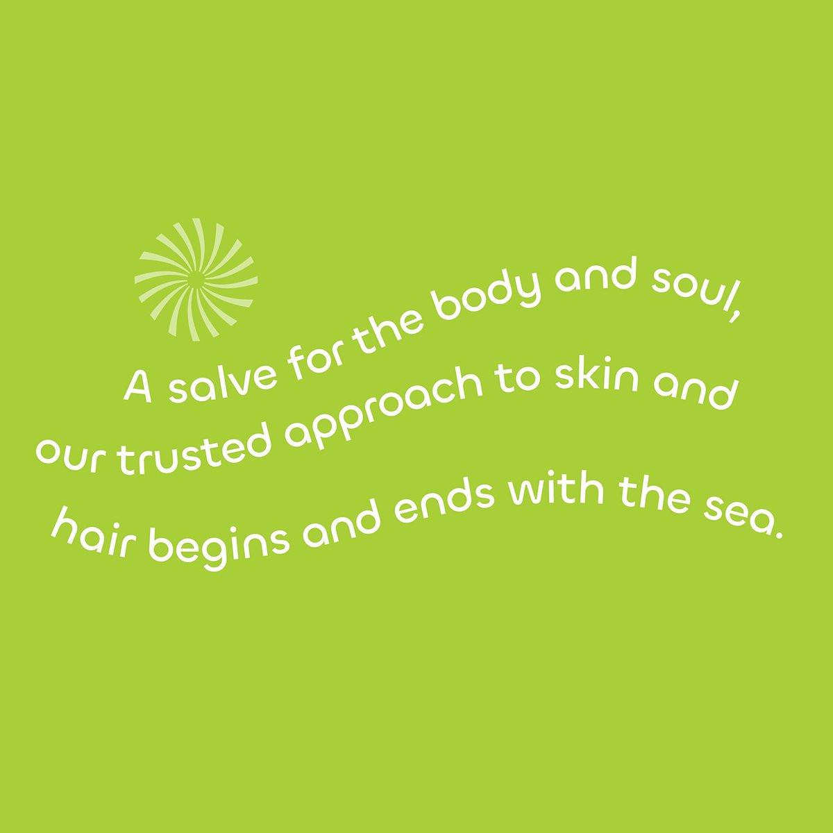 Seaweed Bath Co. Gloss Conditioner, Sea Salt Bergamot Duft, 12 Unzen, nachhaltig geerntete Algen, Awapuhi, Milchsäure, für alle Haartypen