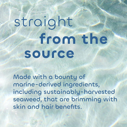 Seaweed Bath Co. Gloss Conditioner, Sea Salt Bergamot Duft, 12 Unzen, nachhaltig geerntete Algen, Awapuhi, Milchsäure, für alle Haartypen