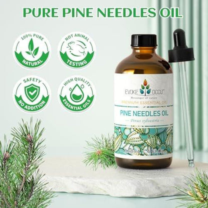 EVOKE OCCU Kiefernöl (Pinus sylvestris) für Diffuser – 118 ml – Frischer Duft für Aromatherapie, Haut- und Haarpflege, Seifen- und Kerzenherstellung