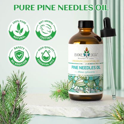 EVOKE OCCU Kiefernöl (Pinus sylvestris) für Diffuser – 118 ml – Frischer Duft für Aromatherapie, Haut- und Haarpflege, Seifen- und Kerzenherstellung
