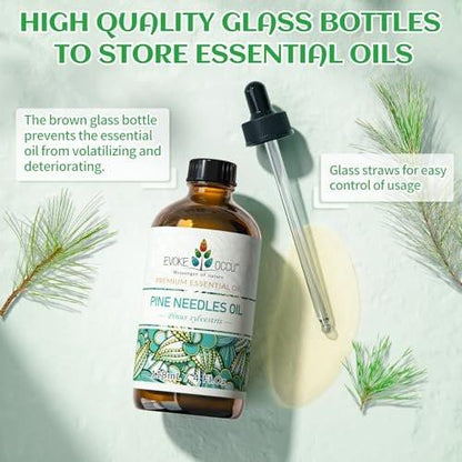EVOKE OCCU Kiefernöl (Pinus sylvestris) für Diffuser – 118 ml – Frischer Duft für Aromatherapie, Haut- und Haarpflege, Seifen- und Kerzenherstellung