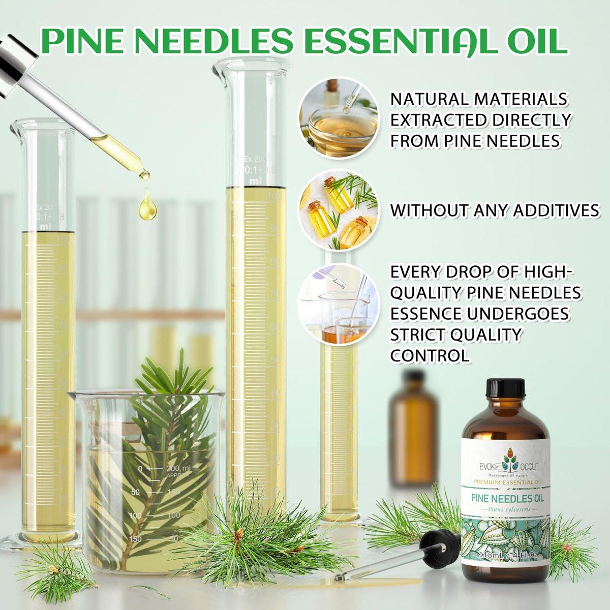 EVOKE OCCU Kiefernöl (Pinus sylvestris) für Diffuser – 118 ml – Frischer Duft für Aromatherapie, Haut- und Haarpflege, Seifen- und Kerzenherstellung
