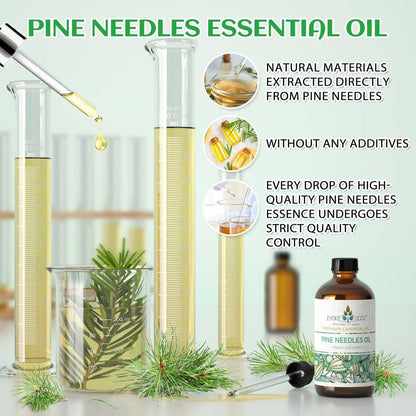 EVOKE OCCU Kiefernöl (Pinus sylvestris) für Diffuser – 118 ml – Frischer Duft für Aromatherapie, Haut- und Haarpflege, Seifen- und Kerzenherstellung