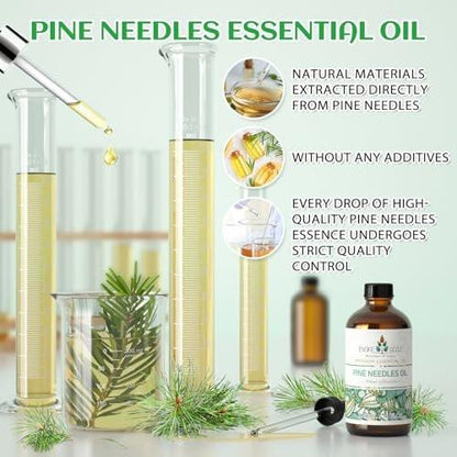 EVOKE OCCU Kiefernöl (Pinus sylvestris) für Diffuser – 118 ml – Frischer Duft für Aromatherapie, Haut- und Haarpflege, Seifen- und Kerzenherstellung