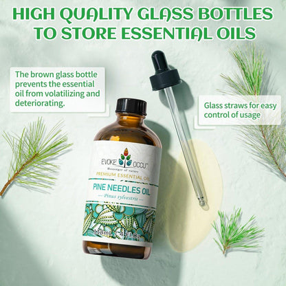 EVOKE OCCU Kiefernöl (Pinus sylvestris) für Diffuser – 118 ml – Frischer Duft für Aromatherapie, Haut- und Haarpflege, Seifen- und Kerzenherstellung