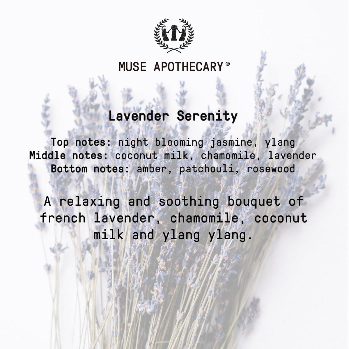 Muse Apothecary Linen Ritual – Aromatischer, beruhigender und entspannender Leinenspray für Bettwäsche, Wäsche und Stoffe – Mit ätherischen Ölen der Aromatherapie – Lavendel Serenity (237 ml)