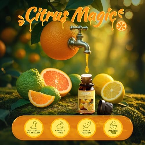 Salubrito Zitrus-Öle Set für Diffuser, Duftöl | Süße Orange, Bergamotte, Zitrone, Grapefruit, Mandarine, Limette Aromaöl für Seifen- und Kerzenherstellung