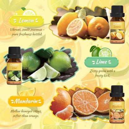 Salubrito Zitrus-Öle Set für Diffuser, Duftöl | Süße Orange, Bergamotte, Zitrone, Grapefruit, Mandarine, Limette Aromaöl für Seifen- und Kerzenherstellung
