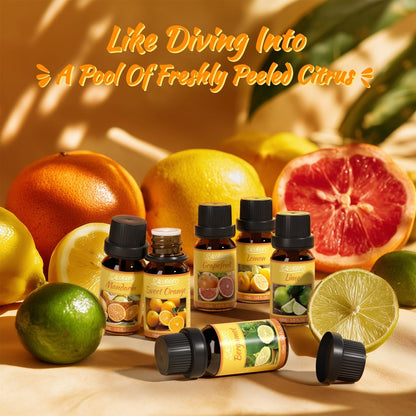 Salubrito Zitrus-Öle Set für Diffuser, Duftöl | Süße Orange, Bergamotte, Zitrone, Grapefruit, Mandarine, Limette Aromaöl für Seifen- und Kerzenherstellung