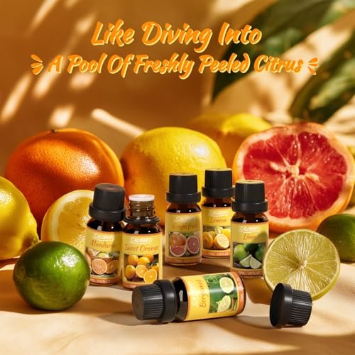 Salubrito Zitrus-Öle Set für Diffuser, Duftöl | Süße Orange, Bergamotte, Zitrone, Grapefruit, Mandarine, Limette Aromaöl für Seifen- und Kerzenherstellung