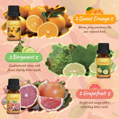 Salubrito Zitrus-Öle Set für Diffuser, Duftöl | Süße Orange, Bergamotte, Zitrone, Grapefruit, Mandarine, Limette Aromaöl für Seifen- und Kerzenherstellung