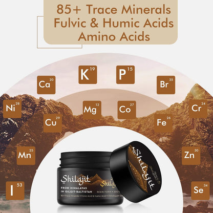 Hima Shilajatu Shilajit – Reinigstes Himalaya Bio Shilajit Harz, Goldqualität, 100% Reinheit, mit Fulvinsäure & 85+ Spurenemineralien, 30 g (2 Monate Vorrat)