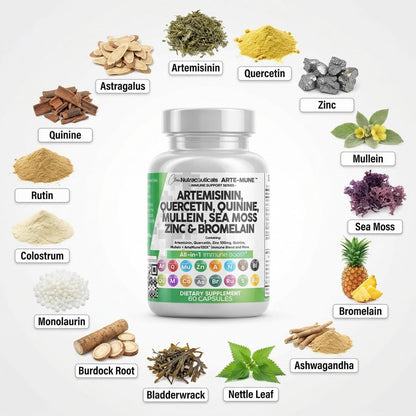 Clean Nutraceuticals Artemisinin Quercetin Zink Mullein Chinin Nahrungsergänzung mit Seemoos Bromelain Ashwagandha Wurzel Brennnesselblatt Blasentang Klettenwurzel Monolaurin Kolostrum Rutin